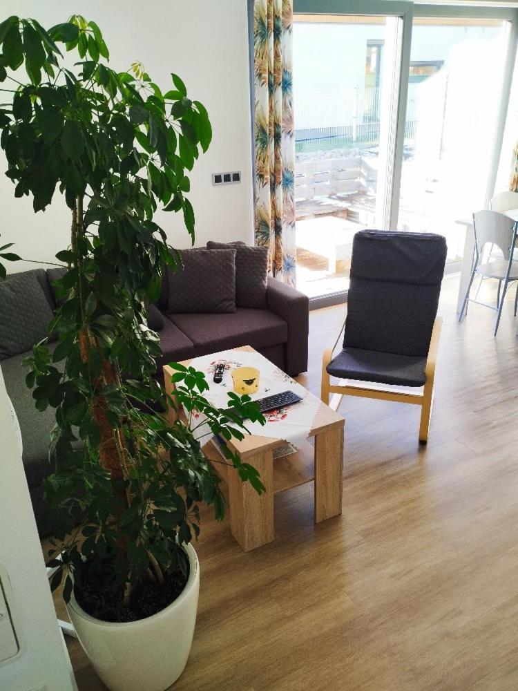 Apartman Dasa フリンブルク エクステリア 写真