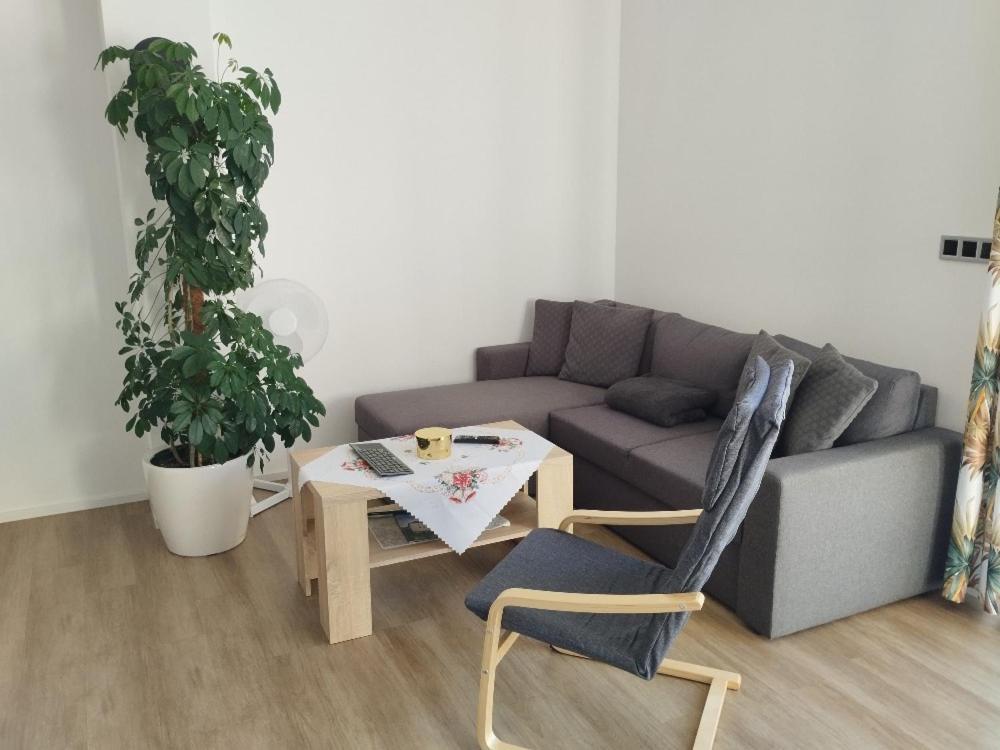 Apartman Dasa フリンブルク エクステリア 写真